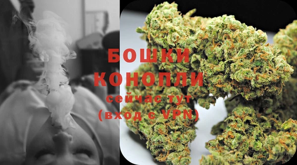 каннабис Белокуриха