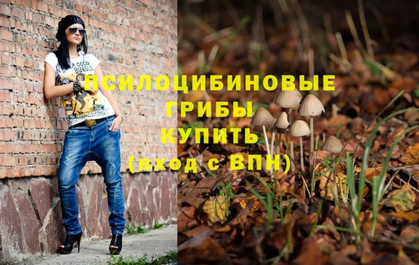 молекула духа Белоозёрский