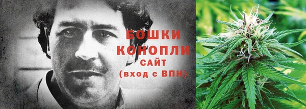 молекула духа Белоозёрский