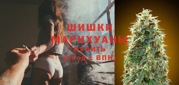молекула духа Белоозёрский