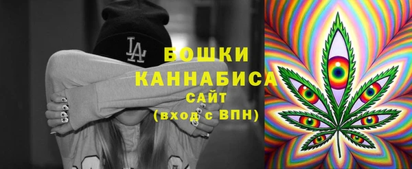 молекула духа Белоозёрский