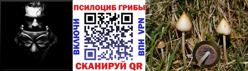 omg ссылки  Плёс  Псилоцибиновые грибы мухоморы 